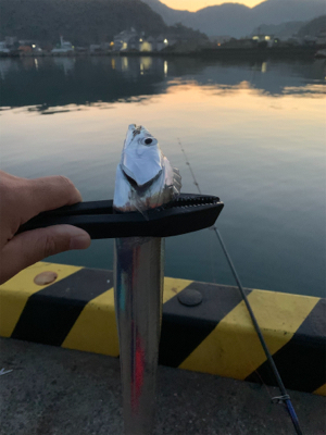 ネバーギブアップ