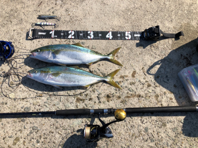 初めての大阪釣行