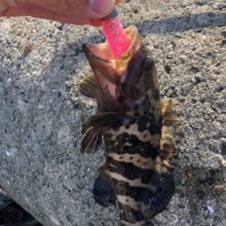 有田川隊ハロウィンパーティー