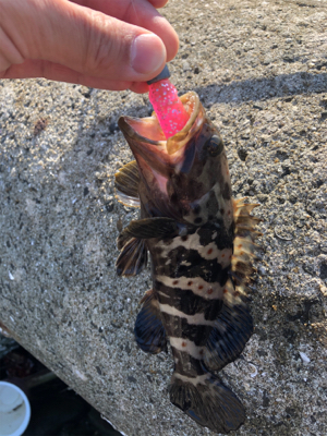 有田川隊ハロウィンパーティー