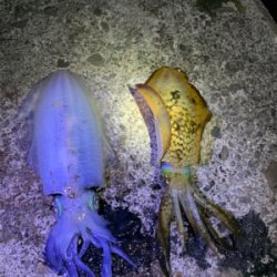 漢は黙ってヤエン。