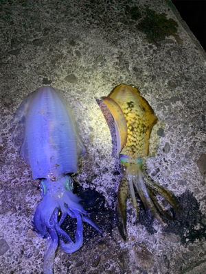 漢は黙ってヤエン。