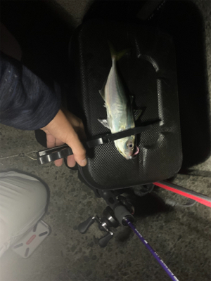 ベイトアジングの道⑬渋い