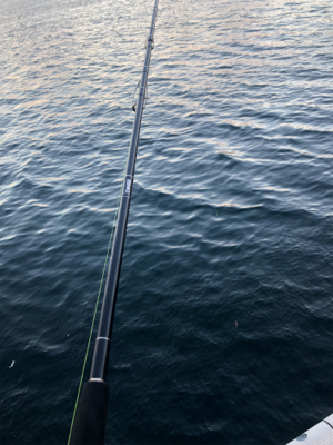 青物取りこぼし多数