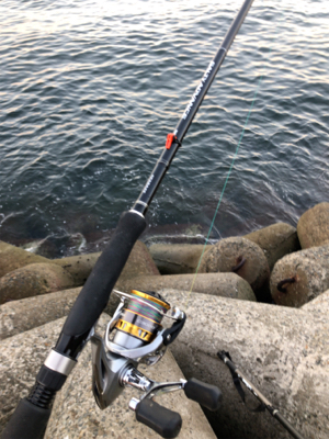 青物～まわってますね