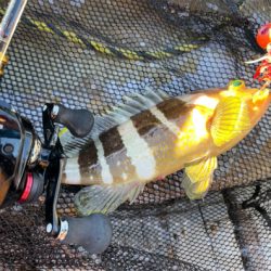 オフショアライトジギング