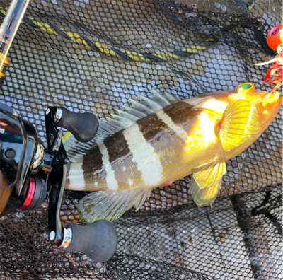 オフショアライトジギング