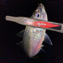 数狙いか型狙いか