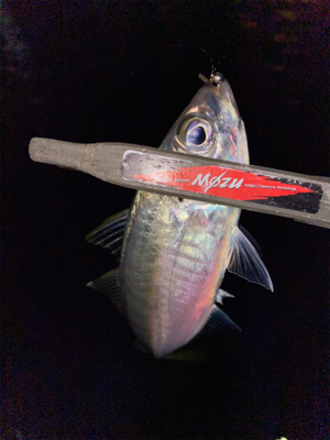 数狙いか型狙いか