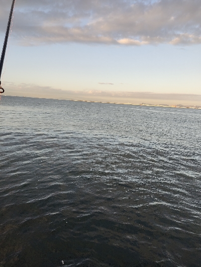 青物が欲しい。