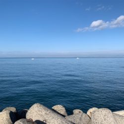 サンデーアングラーの朝