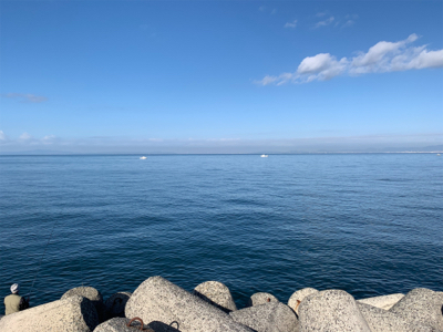 サンデーアングラーの朝