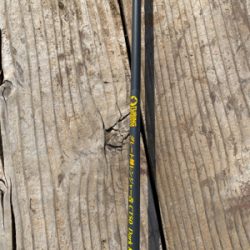 休日といえばアイゴ