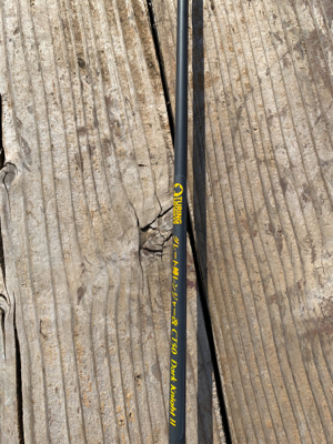 休日といえばアイゴ