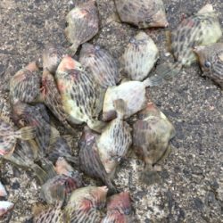 3年ぶりのハギング