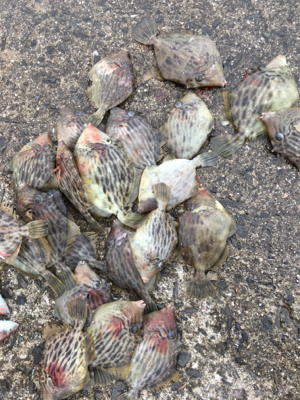 3年ぶりのハギング