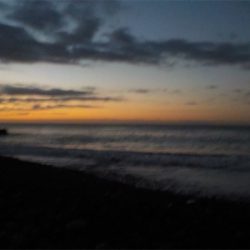 シーバスが来てくれました！