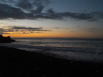 シーバスが来てくれました！