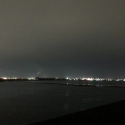 夕まずめアジ回遊