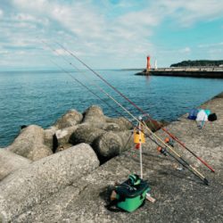 カレイ、カワハギ釣り