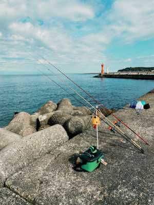 カレイ、カワハギ釣り