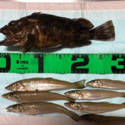 ショアジギ &エギング