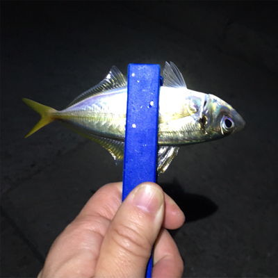 明石でライトゲーム