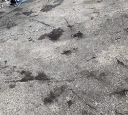 久しぶりのヤエン