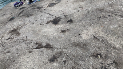 久しぶりのヤエン