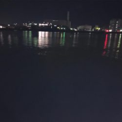 地合いは日没後すぐに！