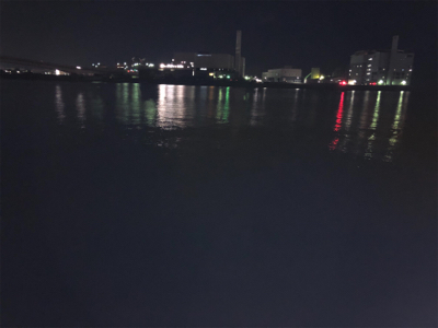 地合いは日没後すぐに！