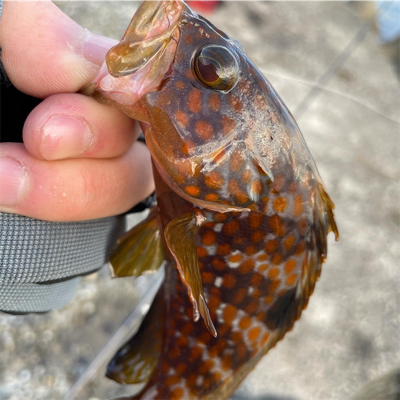 ライトゲーム IN石川県