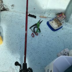 またまたまたカワハギ釣り