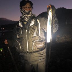 シーバスのはずが、、タチウオ