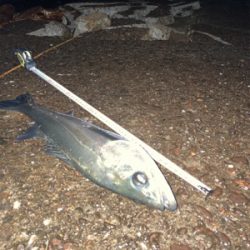 傷ついたルアーはダイソーで補修