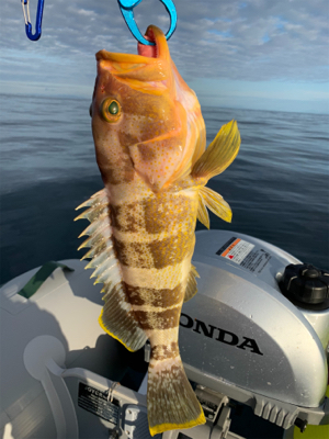 久しぶりの日本海へアマダイ狙い