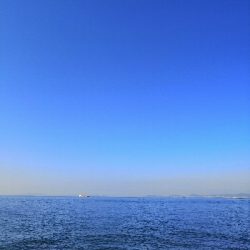 1バイト1ゲット