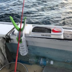 イカハゲの呼吸