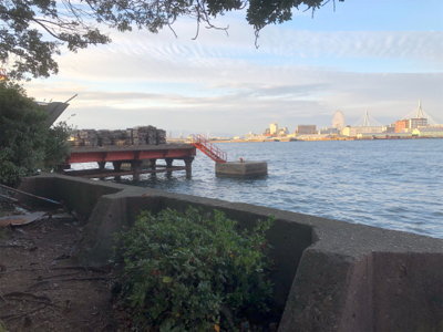 釣って良し！食べて良し！