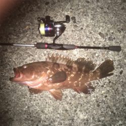 太刀魚釣れ出してるみたいです‍♂️