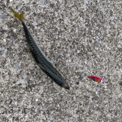 今年最後に‼︎