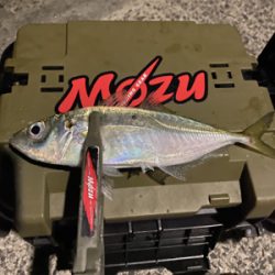 昨日のリベンジ釣行