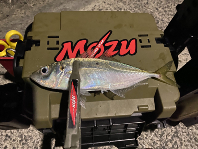 昨日のリベンジ釣行