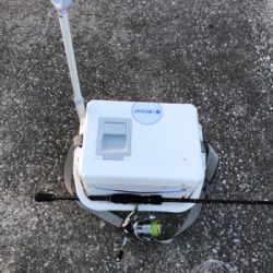 カレイ狙いのキス