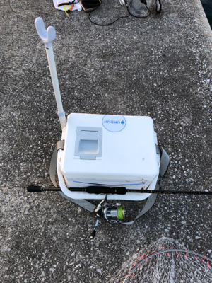 カレイ狙いのキス