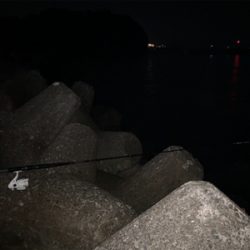 アジでイカを釣る