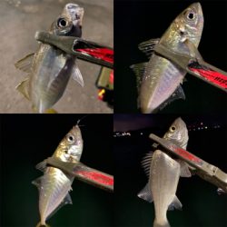 アジングは、楽しい