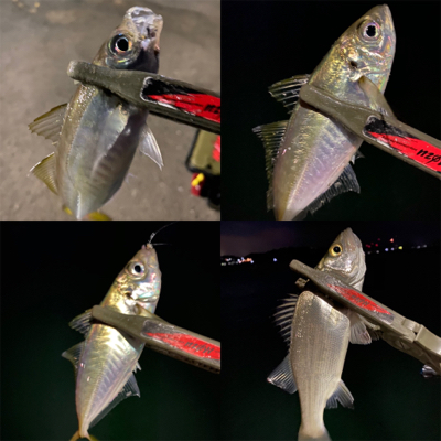 アジングは、楽しい