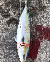 ファイト一発！