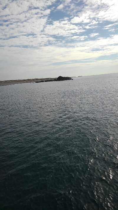 相変わらずのヘタレ釣果